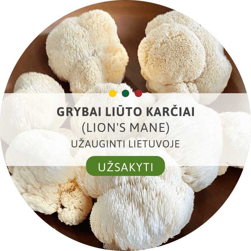 Liūto karčiai
